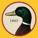 Duck Head